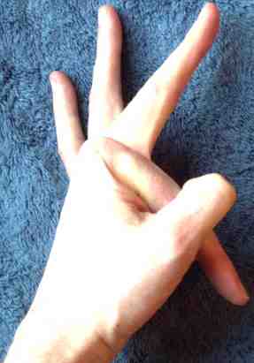 Index finger : forward fold