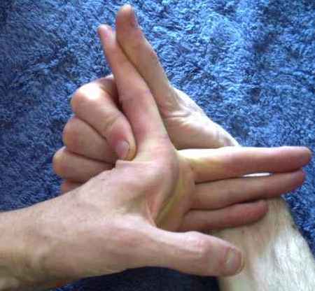 Backward arch : index finger : first knuckle